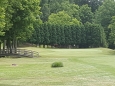 7 green